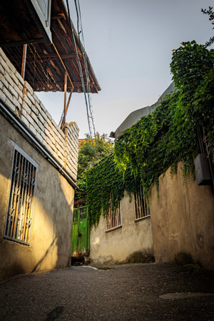 Cozy narrow street in Tbilisi, Georgia, with vine-covered walls and warm sunlight casting shadows, capturing the charm of this historic neighborhood.の写真素材