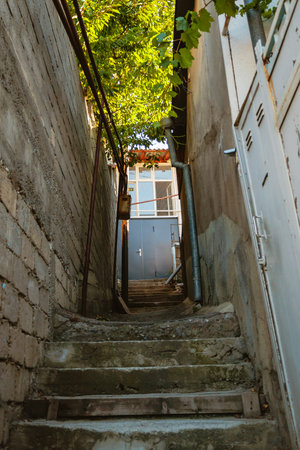 Narrow concrete staircase in a residential alley of Tbilisi, surrounded by weathered walls and lush green foliage above, capturing urban rustic charm and quiet atmosphere.の写真素材