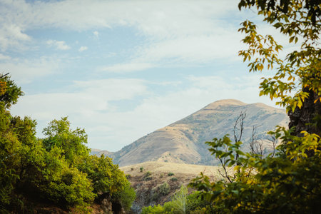 Golden hills rise behind lush green trees along a quiet road in early autumn. A peaceful and vibrant natural scene captured on a sunny day.の写真素材