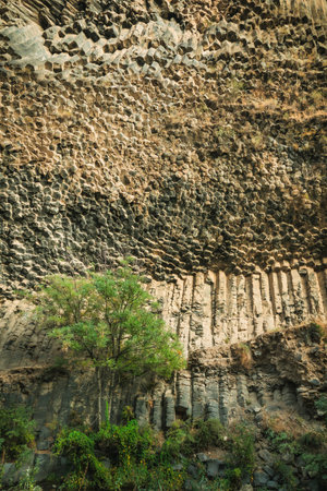 Abstract close-up of hexagonal basalt columns in Garni Gorge, Armenia. This volcanic rock formation,...