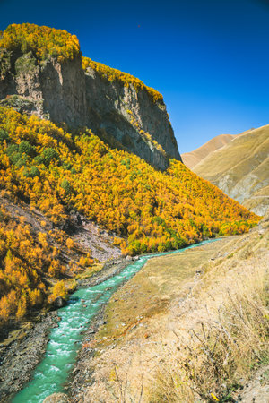 Colorful autumn valley with a fast-flowing river near Truso Gorge in Georgia. Golden foliage, dramatic cliffs, and rural life surrounded by majestic Caucasus mountainsの写真素材