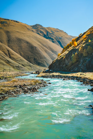 Turquoise river flowing through a golden autumn valley near Truso Gorge, Georgia. Bright yellow trees and rocky hills create a peaceful and wild mountain atmosphereの写真素材