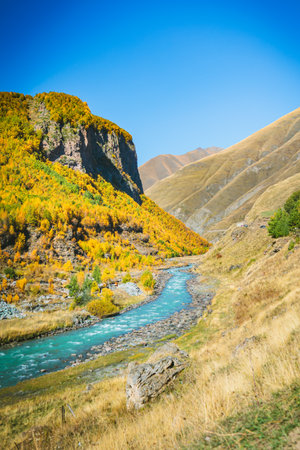 Colorful autumn valley with a fast-flowing river near Truso Gorge in Georgia. Golden foliage, dramatic cliffs, and rural life surrounded by majestic Caucasus mountainsの写真素材