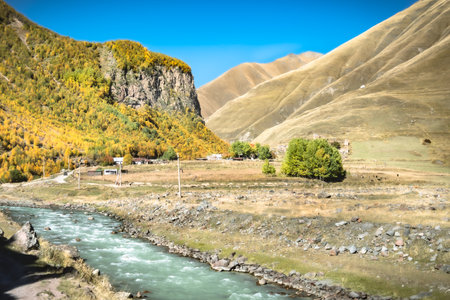 Colorful autumn valley with a fast-flowing river near Truso Gorge in Georgia. Golden foliage, dramatic cliffs, and rural life surrounded by majestic Caucasus mountainsの写真素材