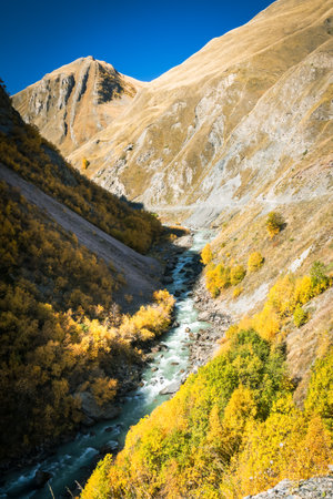 Mountain river winding through golden autumn forest in Truso Valley, Georgia. Bright sunlight contrasts with shaded slopes, creating a dramatic natural scene in the Caucasusの写真素材
