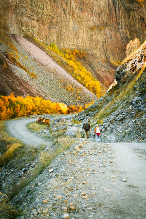 Two hikers walk through Truso Valley, Georgia, surrounded by golden autumn trees and dramatic basalt cliffs. A scenic and adventurous moment in the Caucasus Mountainsの写真素材