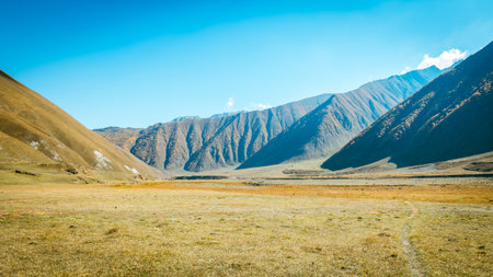 Panoramic view of Truso Valley in Georgia on a sunny autumn day. Golden grasslands and majestic Caucasus Mountains under a deep blue sky create a peaceful natural sceneの写真素材