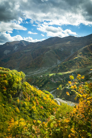 Close-up of autumn leaves glowing in the sun with a scenic mountain background. Bright seasonal...