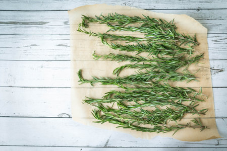 Fresh rosemary sprigs arranged on rustic parchment, capturing the cozy essence of autumn and seasonal cooking on a farmhouse kitchen tableの写真素材