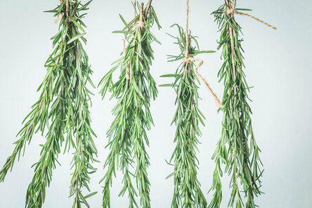 Fresh rosemary bunches tied with twine hanging to dry on a light background. Minimalistic herbal preservation concept for natural cooking and slow living visualsの写真素材