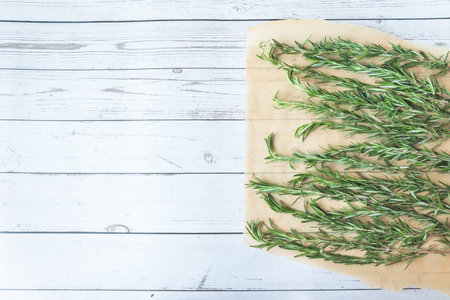Fresh rosemary sprigs laid out on parchment paper over rustic white wooden background. Autumn...