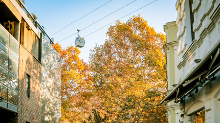 Cable car gliding above autumn trees and historic architecture in Tbilisi, Georgia, with warm morning light and vibrant foliageの写真素材