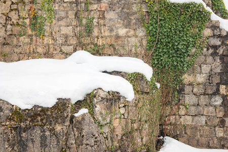 Ancient stone walls partially covered in ivy and snow in winter Kutaisi. A mix of historic architecture and nature elements in a peaceful seasonal setting. Textured winter backgroundの写真素材