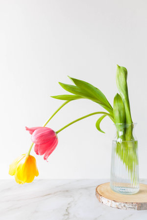 Still life with pink and yellow tulips in a glass vase on marble background. Soft natural light, cozy home decor with wooden elements and handmade candles. Peaceful spring moodの写真素材