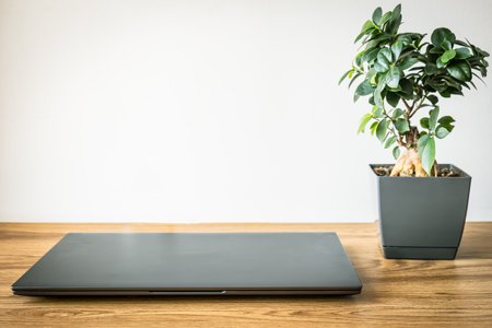 Minimalist workspace with closed laptop and green houseplant on wooden desk, clean home office...