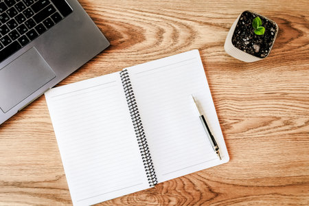 Minimal home office workspace with laptop, open blank notebook and pen on wooden desk, natural light, cozy and productive atmosphere with green plant and copy space