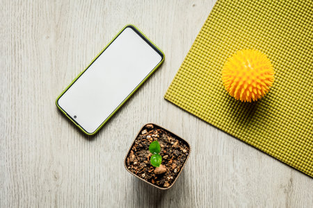 Home wellness flat lay with smartphone mockup, green yoga mat, massage ball and small plant on wooden floor, calm fitness and self care growth concept