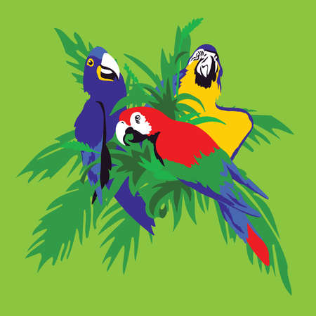 Exotic birds macaw on palm leavesのイラスト素材