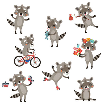 Raccoon set charactersのイラスト素材