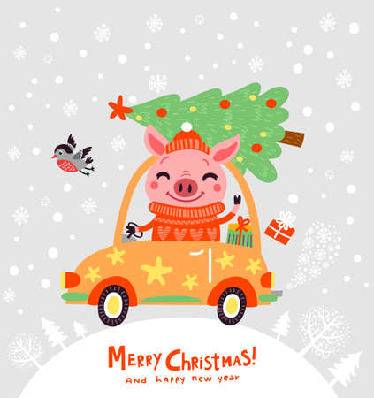 Christmas card with pigのイラスト素材