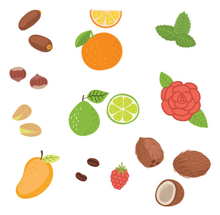 nuts and fruits vector setのイラスト素材