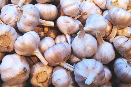 Close up image of garlic pile. Texture of garlic.の写真素材