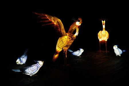 Chinese lantern festival. Blue small birds and cranes.の写真素材
