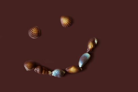 Assorted Chocolate pralines with sea concept on brown background.