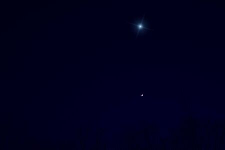 Night dark blue sky with a star and Moon. Landscape with branches.の写真素材