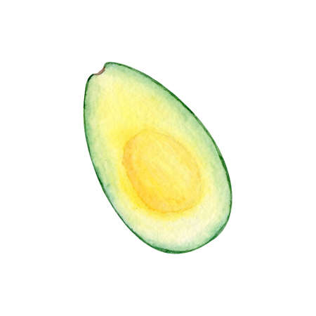 Watercolor half an avocado on a white background