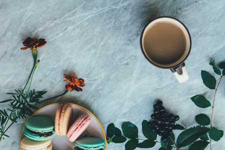 leaves, a cup of coffee and pastel French macarons cakes on a marble surface. Flat lay composition from above, top view . background with copy space for text from right.の写真素材