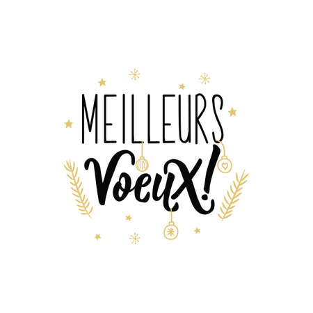 Lettering. calligraphy vector illustration. French text: Best wishes Meilleures voeuxのイラスト素材