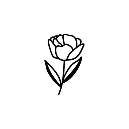 Tulip. Vector illustration in doodle style. Isolate on a white background.のイラスト素材