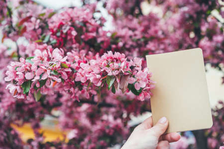 Hand holds a notebook between the flowering branches of sakura. Mockup for positive ideas. Beautiful backgroundの写真素材