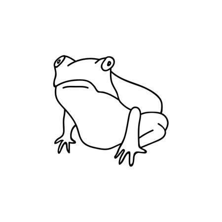 Single hand drawn frog. Funny toad. Doodle vector illustration. Isolated on a white background.のイラスト素材