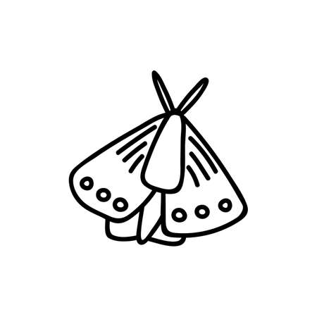 Single hand drawn moth. Doodle vector illustration. Isolated on a white background.のイラスト素材