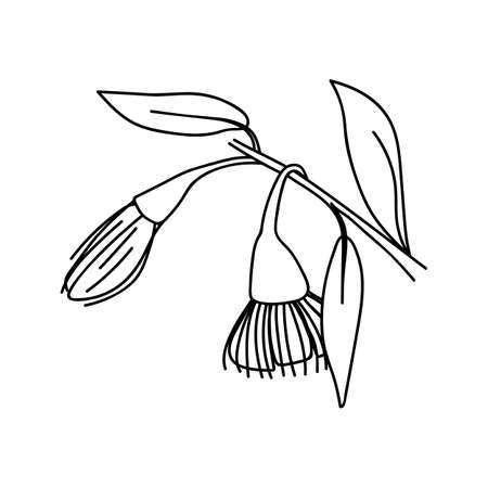 Single hand drawn twig with flower. Doodle vector illustration. Isolated on a white background.のイラスト素材