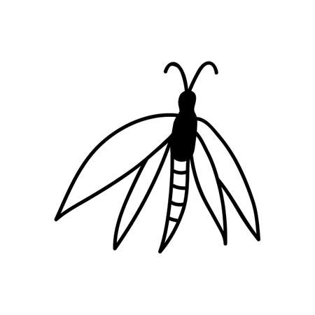 Hand drawn butterfly. Doodle vector illustration. Isolated on a white background.のイラスト素材