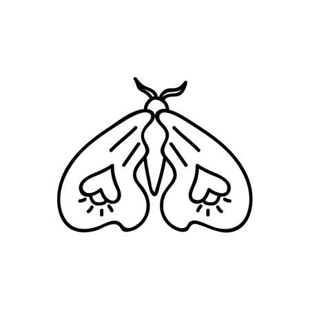 Hand drawn butterfly. Doodle vector illustration. Isolated on a white background.のイラスト素材