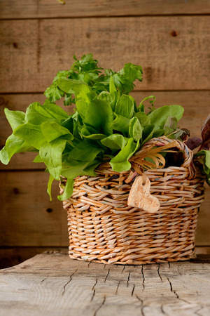 Sorrel leaves in a basket on a wooden tableの写真素材