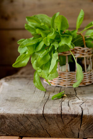 Sorrel leaves in a basket on a wooden tableの写真素材