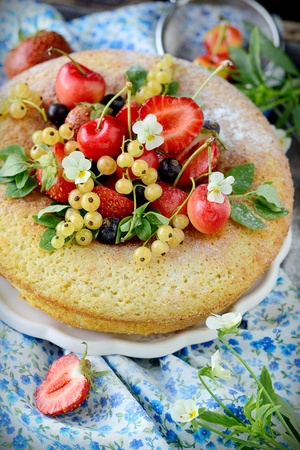sponge cake with berries on the tableclothの写真素材