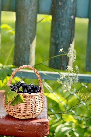 Fresh black currant in the basket on the old woodenの写真素材