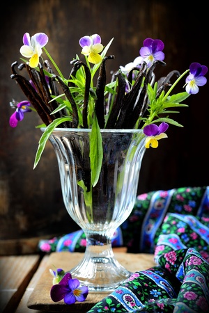bouquet of vanilla pods and flowers in glassの写真素材