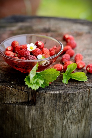 Dish with wild strawberries and leaves on the stumpの写真素材