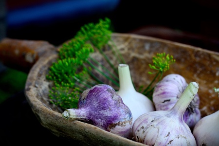 Violet  spring garlic in wooden wooden dipper in rustic styleの写真素材