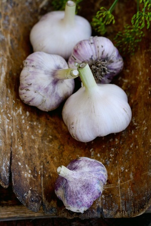 Violet  spring garlic in wooden wooden dipper in rustic styleの写真素材