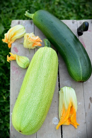 Squash and zucchini on a boxの写真素材