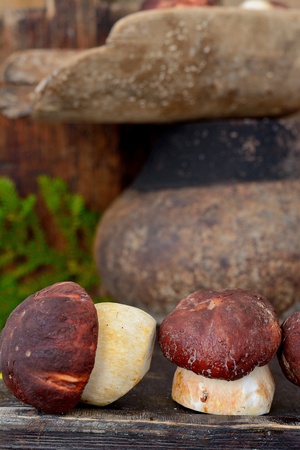 Mushroom Boletus over Wooden Background. Autumn Cep Mushroomsの写真素材