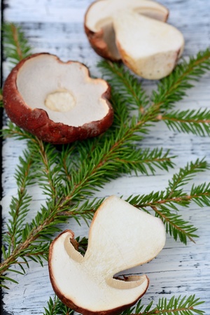 Mushroom Boletus over Wooden Background. Autumn Cep Mushroomsの写真素材
